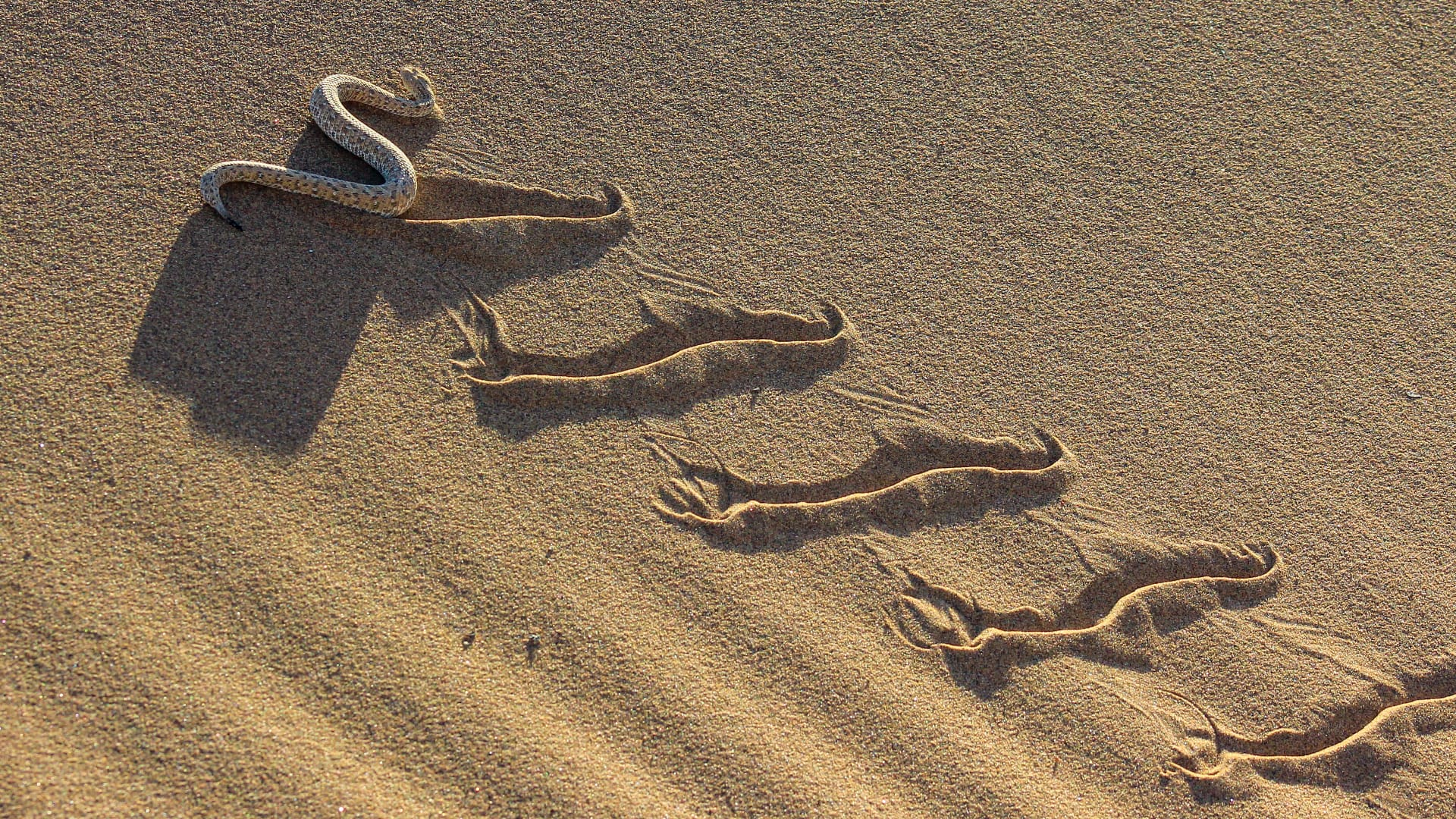 Week in Review — March 16–20, 2026